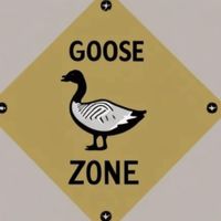 Baby Goosey - Goose Zone