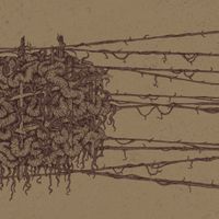 Dreare - Blank and Forward