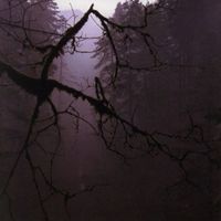Controlled Bleeding - The Poisoner