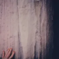 Stijn H&uuml;wels - Fiat Lux