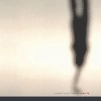 Simon Fisher Turner - Giraffe