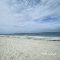 flyingfish - other side of the ocean