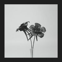 Jlin - Dark Lotus