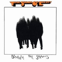 T.S.O.L. - Beneath the Shadows