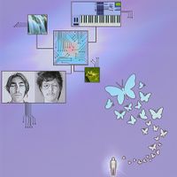 Singularity Boys - Flutter