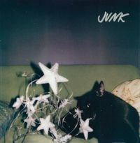 Grace Ives - Junk (Janky Star Revisited)