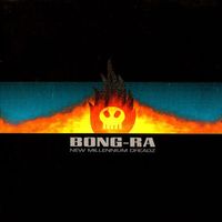 Bong-Ra - New Millenium Dreadz