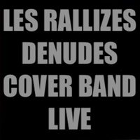 John Dwyer - Les Rallizes Denudes Cover Band Live