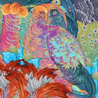 bird. - oshin