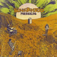 Peregrino - Bongobonzoo