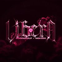 MGK666 & Bogdan DLP - Libera