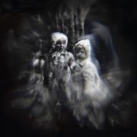 Paavoharju - Y&ouml;n mustia kukkia