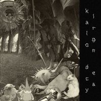 klarigon - decay