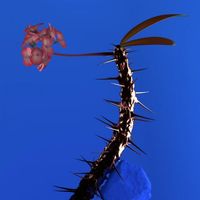 Flume - Skin Companion II