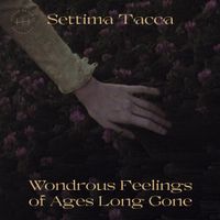 Settima Tacca - Wondrous Feelings of Ages Long Gone