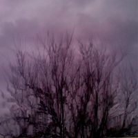 Sorry about my face - Autumn