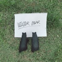 V - Winter Bear
