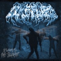 Like Flies - Invading the Swarm
