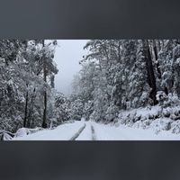 Lucian Thomas - Winter's Here, Bury Me in Snow