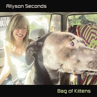 Allyson Seconds - Bag Of Kittens
