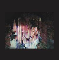 Pan Daijing - A Satin Sight