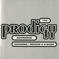 The Prodigy - Experience:Expanded