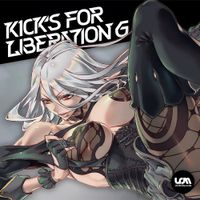 USAO - Kick&rsquo;s for Liberation 6