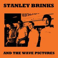 Stanley Brinks And The Wave Pictures - Stanley Brinks And The Wave Pictures