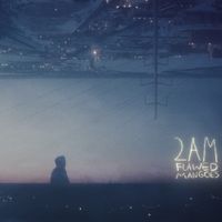 Flawed Mangoes - 2am