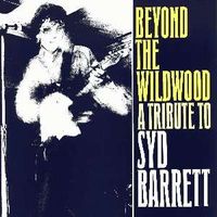 Various Artists - Beyond the Wildwood
