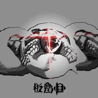 板歯目 [Banshimoku] - 板歯目