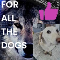 Druke - For All the Dogs