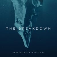 Beauty In A Plastic Bag - The Breakdown