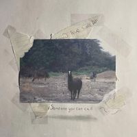 Someone You Can Call - 34