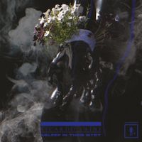 Ricardo Laine - Asleep In Their Myst