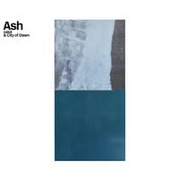 Zak&egrave; & City Of Dawn - Ash