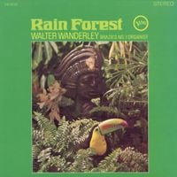 Walter Wanderley - Rain Forest