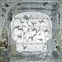Aasev - lossless capsule