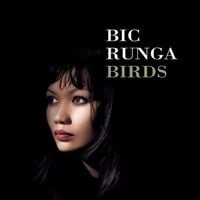 Bic Runga - Birds