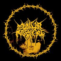 25 Dollar Massacre - Days Gone