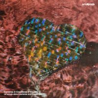 Smallpools - Cameras & Coastlines & Covers