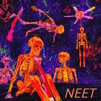 NEET - Unemployed