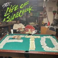 FTO Sett - Life of a SlimeCrook