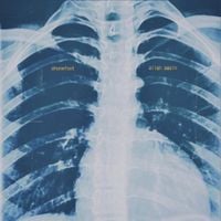 certain seasons - Align Again
