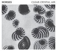 Horses - Clear Crystal Air
