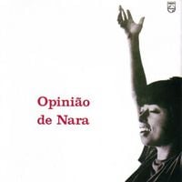 Nara Le&atilde;o - Opini&atilde;o de Nara