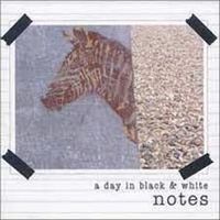 A Day In Black And White - Notes