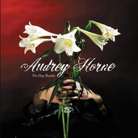 Audrey Horne - No Hay Banda