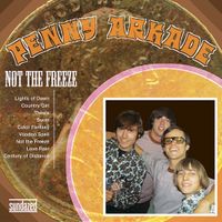 Penny Arkade - Not The Freeze
