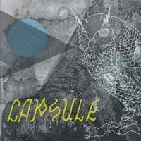 Capsule - No Ghost